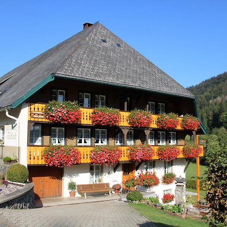 Ferienwohnung Talblick Todtmoos Esterno foto