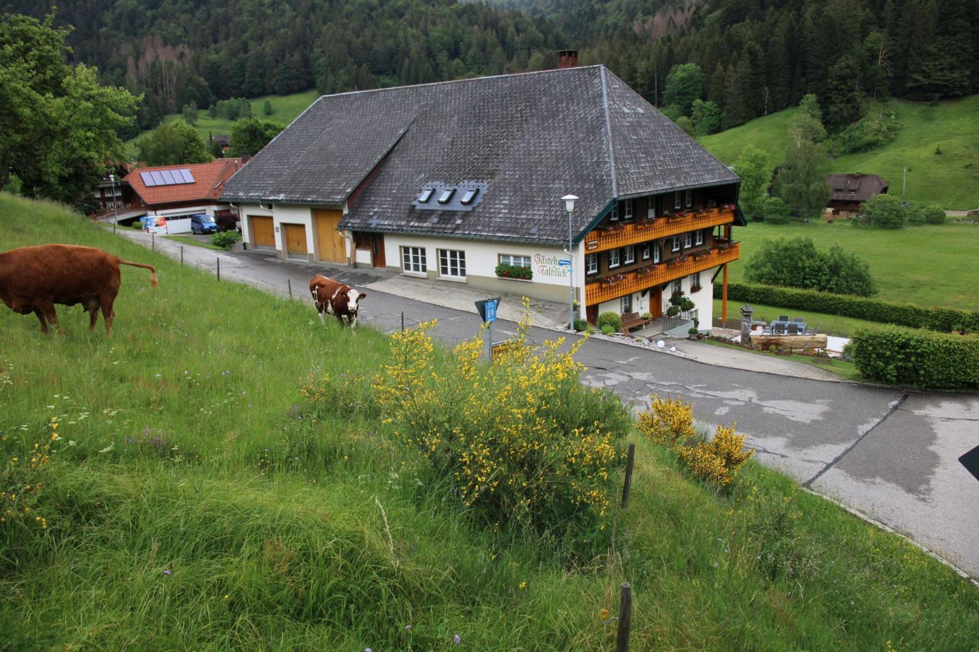 Ferienwohnung Talblick Todtmoos Esterno foto