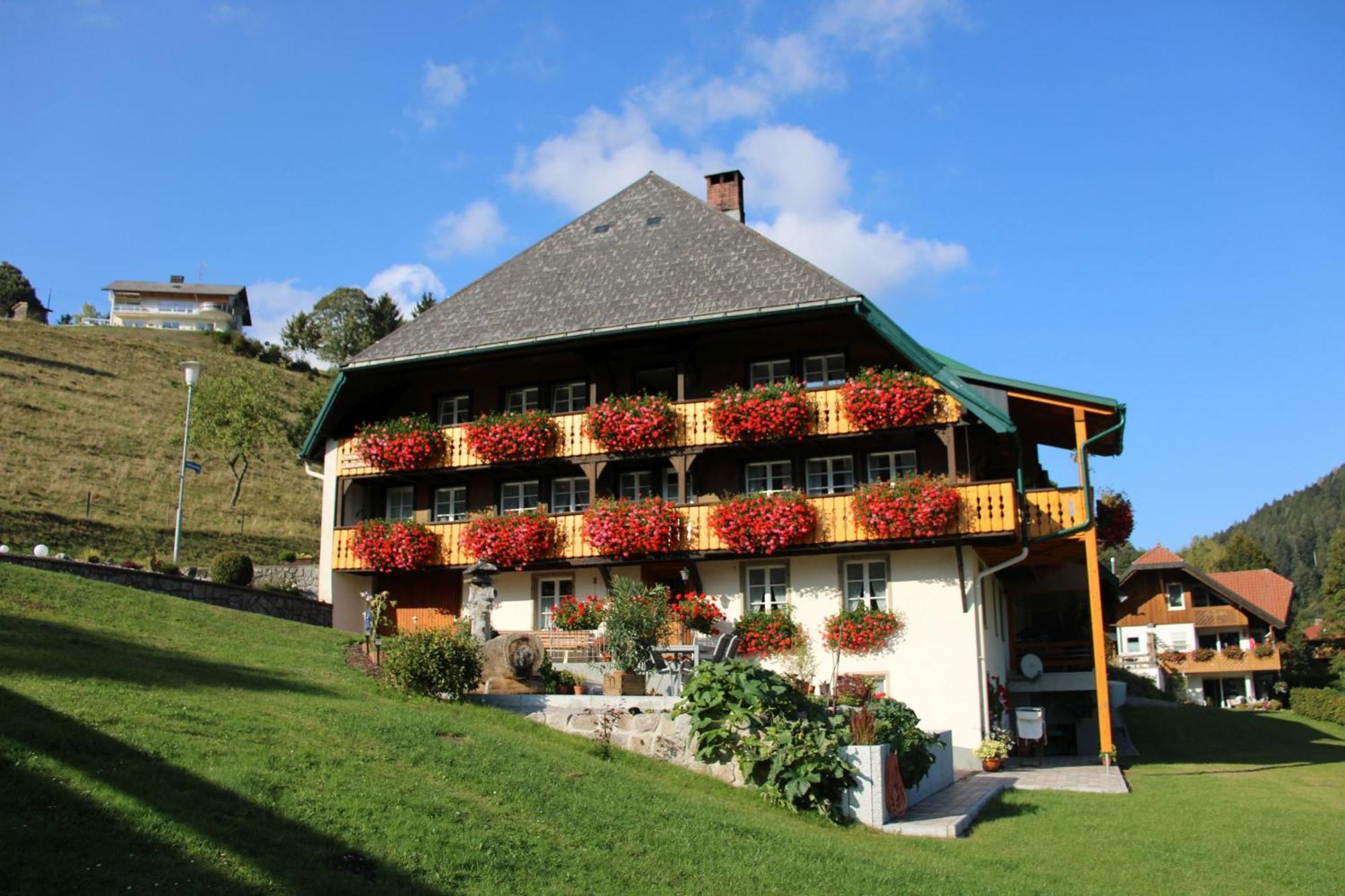 Ferienwohnung Talblick Todtmoos Esterno foto